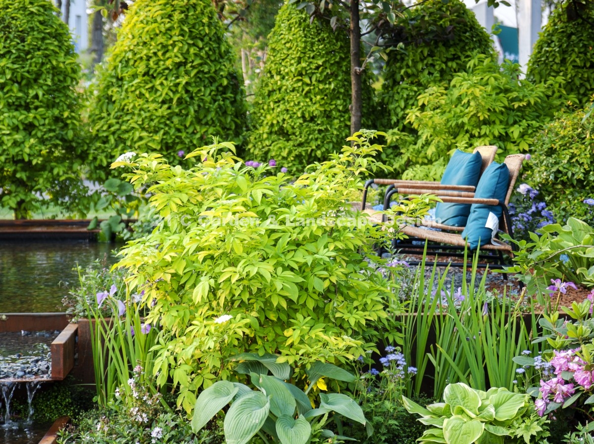 2020 海宁 |  200㎡ | 展示花园 | 现代自然风（植物施工）005