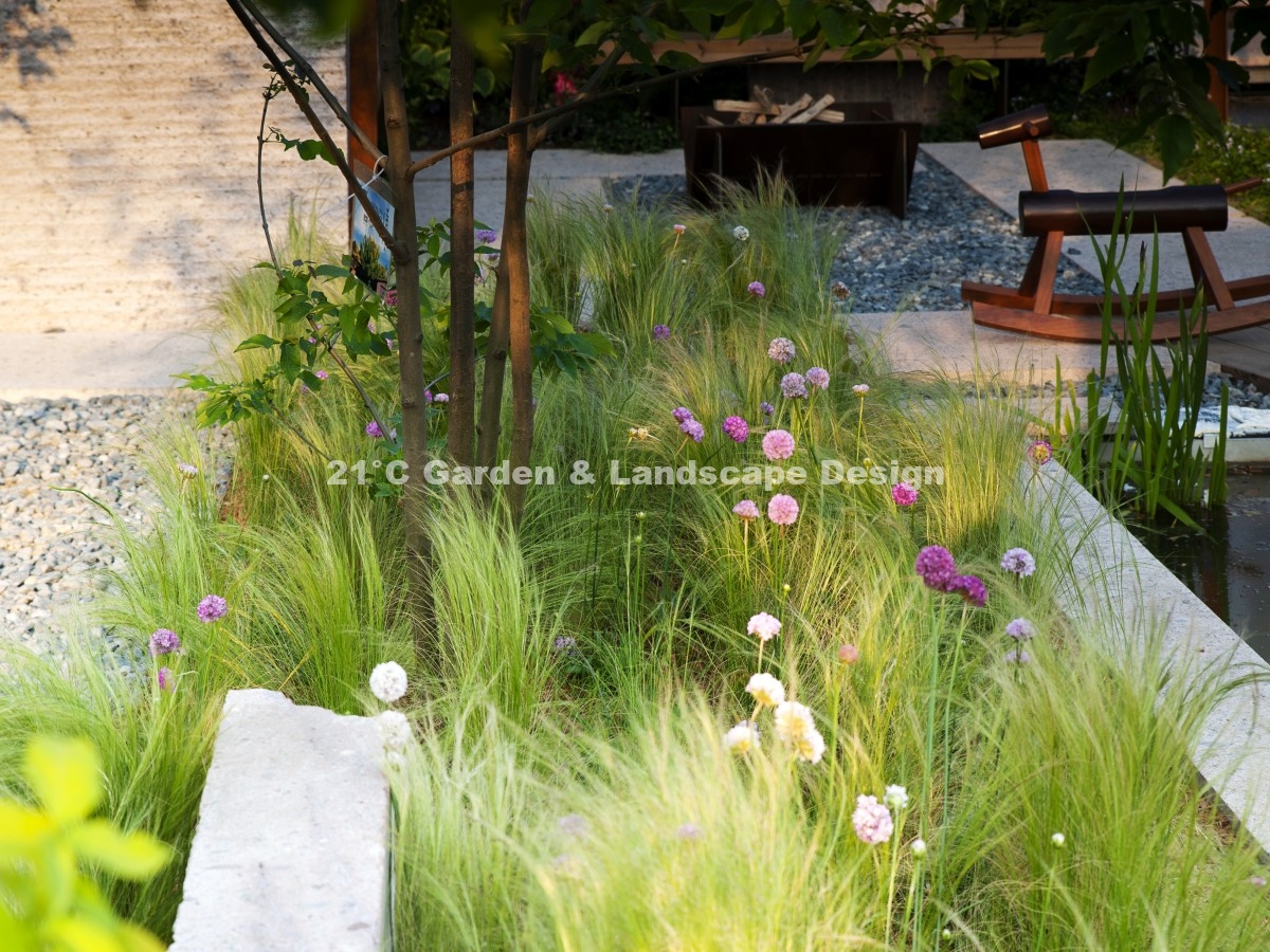 2020 海宁 |  200㎡ | 展示花园 | 现代自然风（植物施工）010