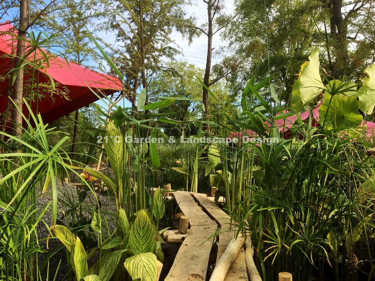 2019-武汉-200㎡-展示花园-波西米亚（植物施工） (11)