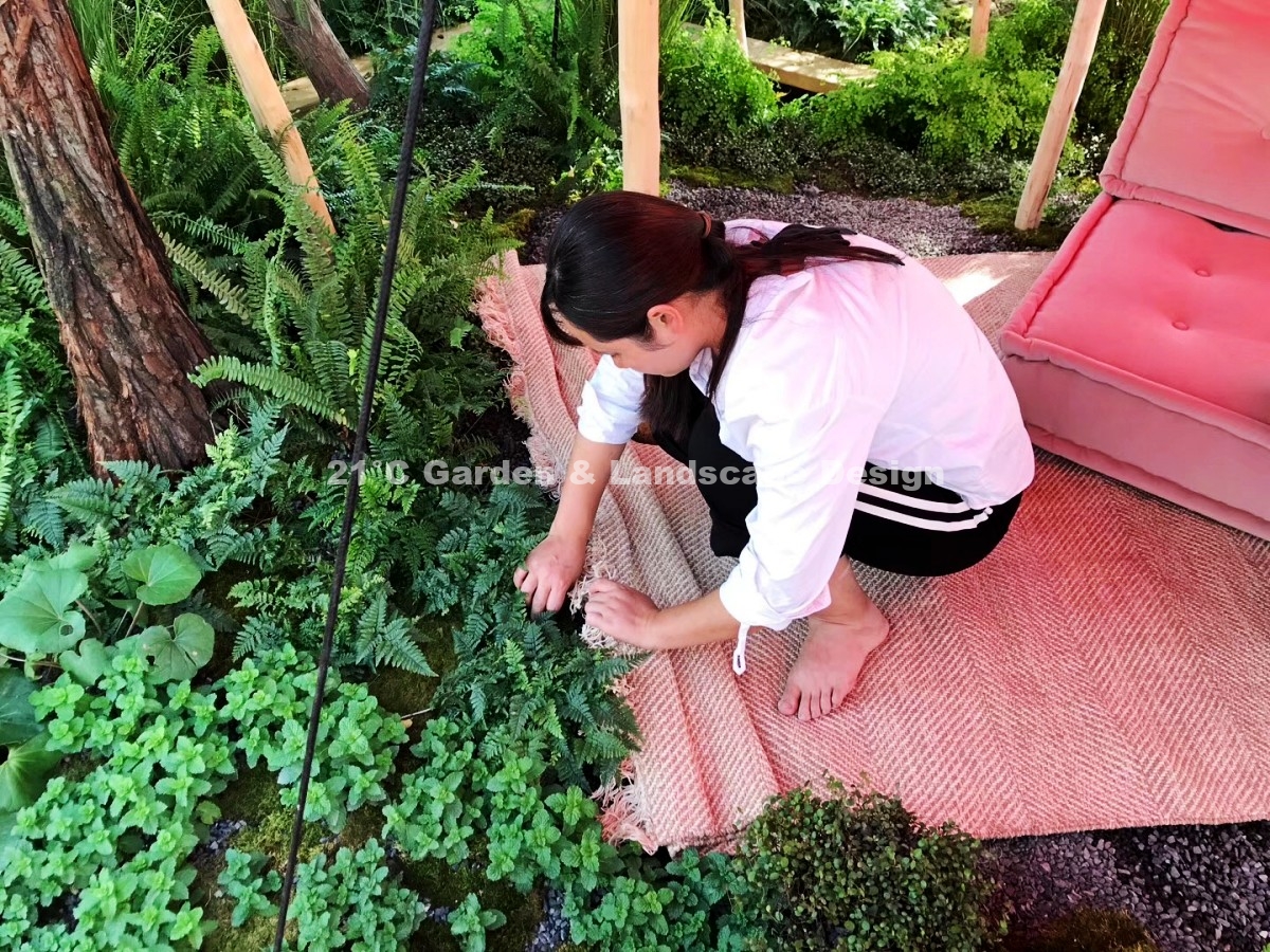 2019-武汉-200㎡-展示花园-波西米亚（植物施工） (9)