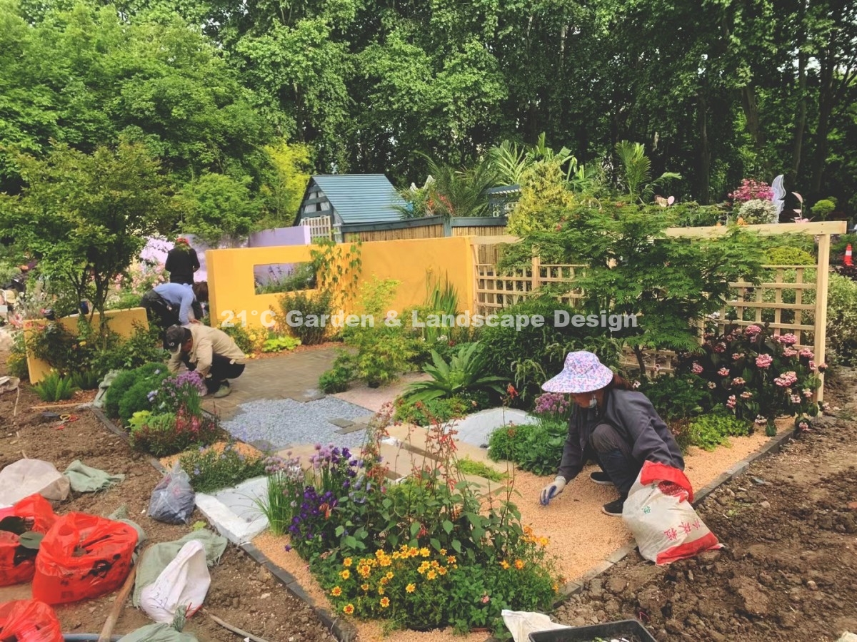 2021-武汉-25㎡-展示花园-现代自然风（植物施工） (5)