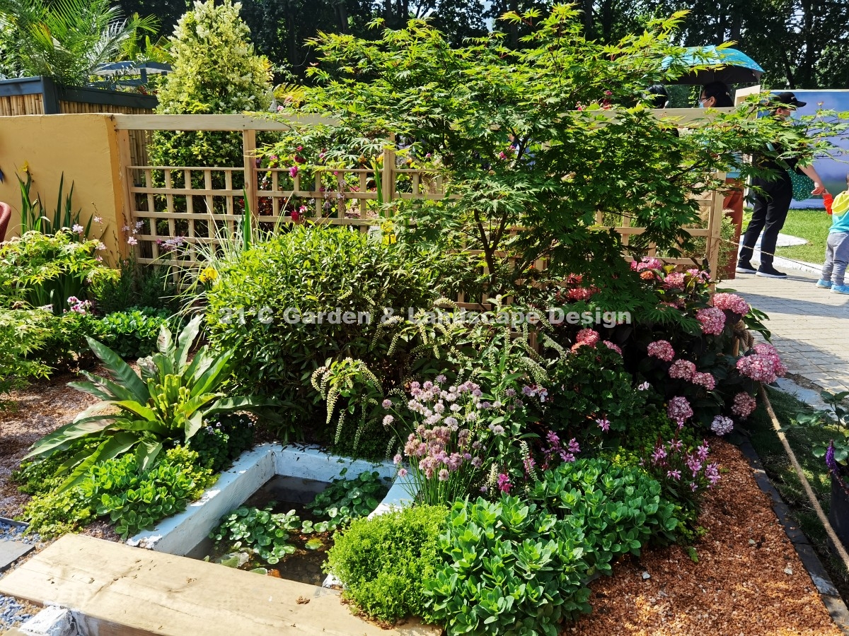 2021-武汉-25㎡-展示花园-现代自然风（植物施工） (7)
