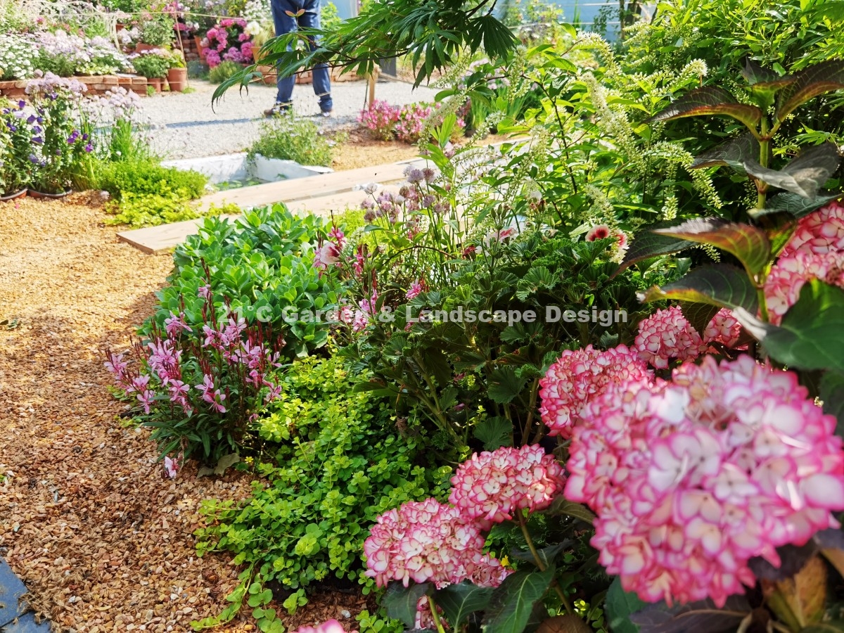 2021-武汉-25㎡-展示花园-现代自然风（植物施工） (8)