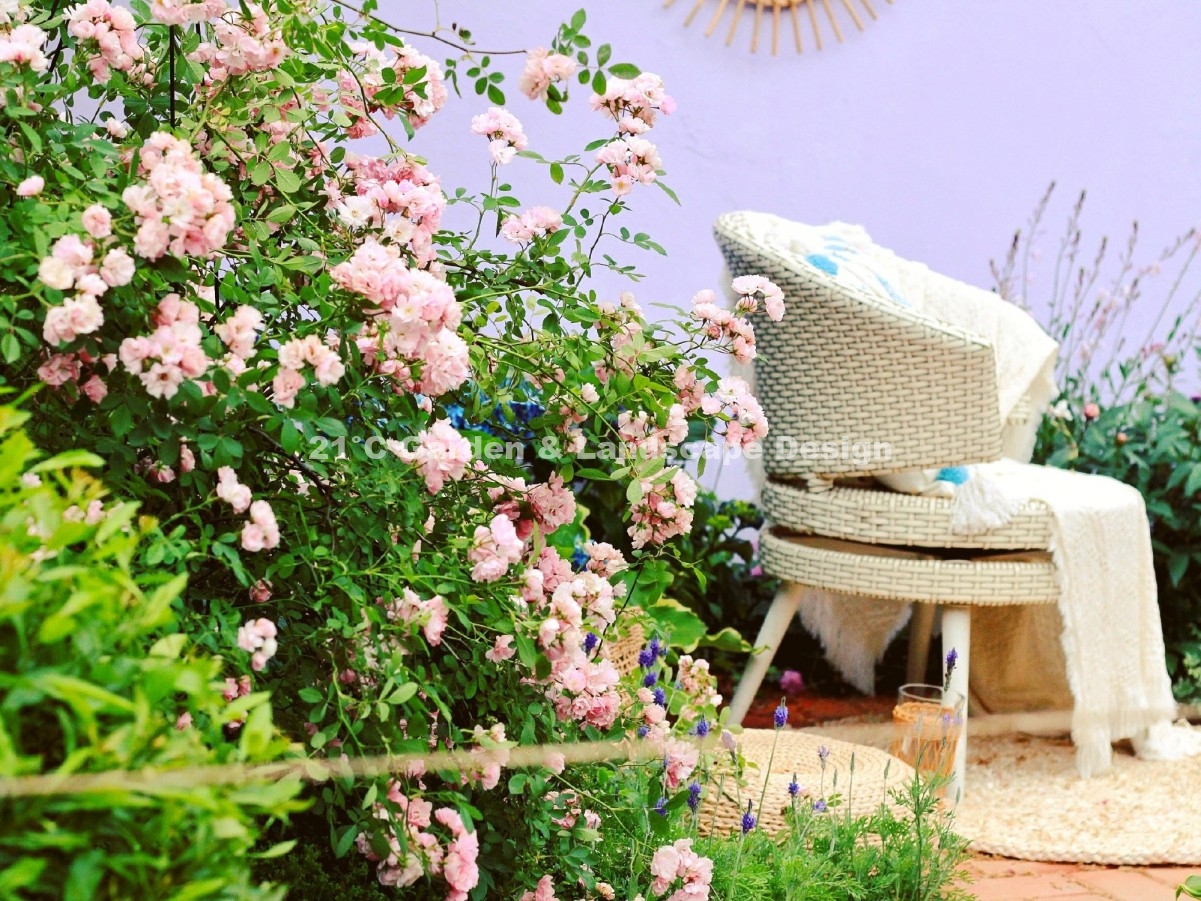 2021-武汉-25㎡-展示花园-田园自然风（设计施工） (03)