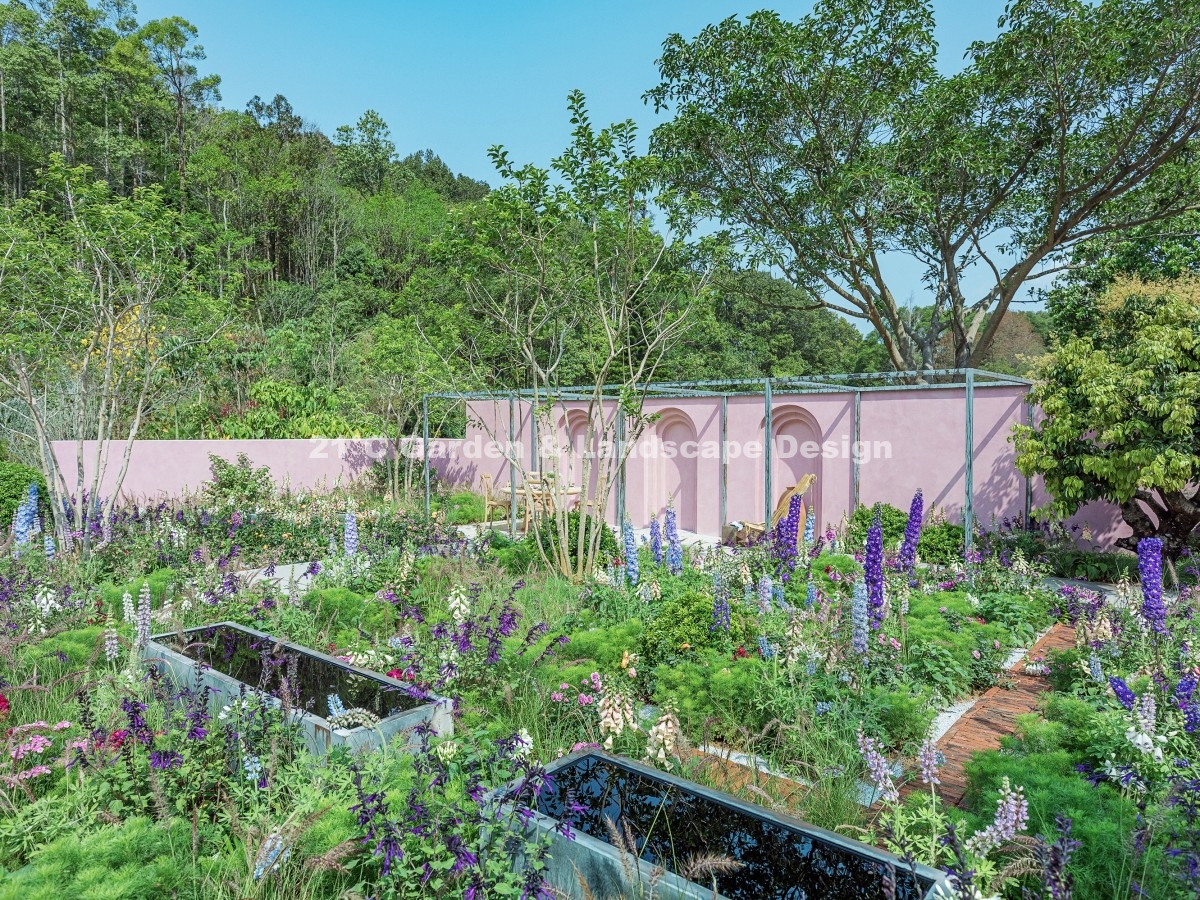 深圳-200㎡-展示花园-乡村自然风-植物施工 (2)