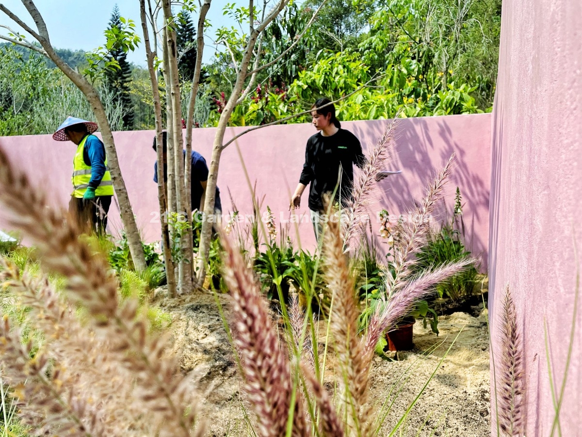 深圳-200㎡-展示花园-乡村自然风-植物施工 (8)
