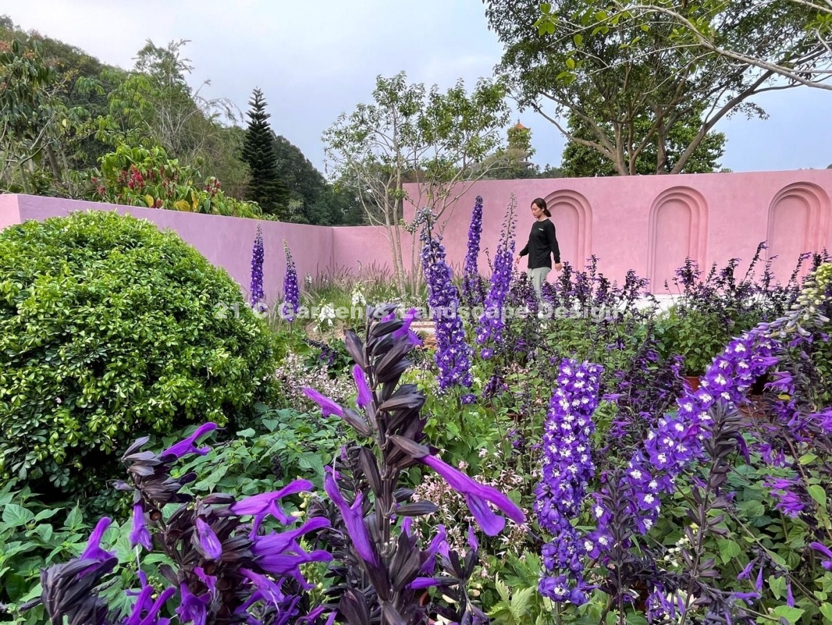 深圳-200㎡-展示花园-乡村自然风-植物施工 (9)