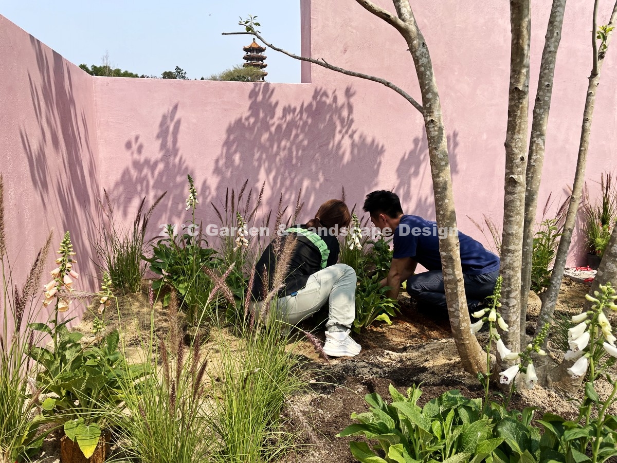 深圳-200㎡-展示花园-乡村自然风-植物施工 (9)